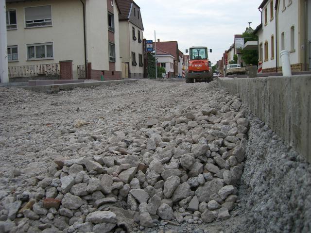CIMG1800