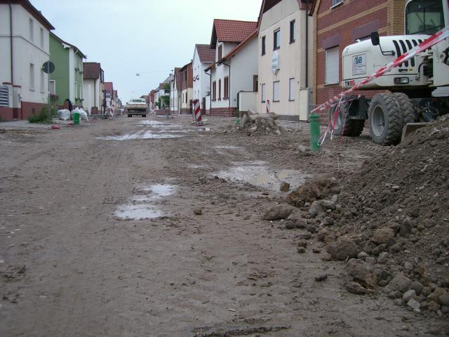 CIMG1993