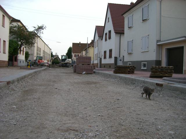 CIMG2322