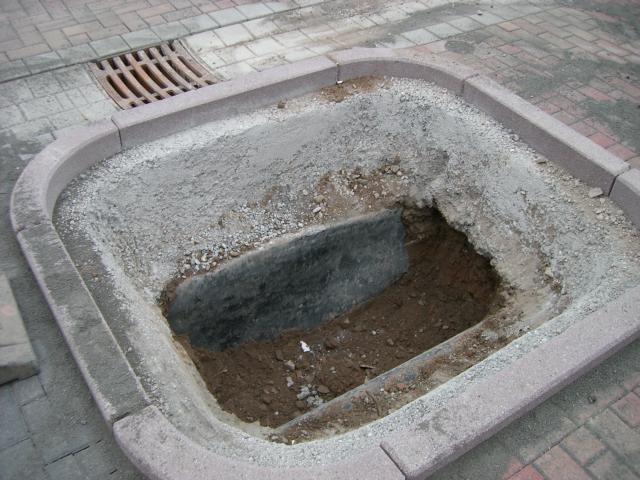 CIMG2457