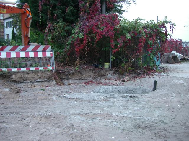CIMG2573