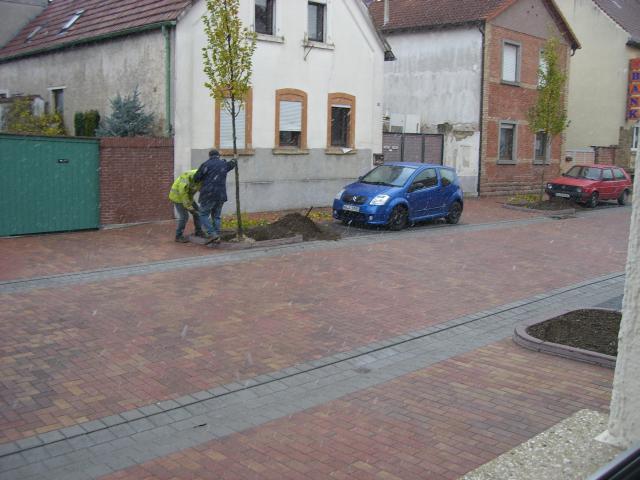 CIMG2782