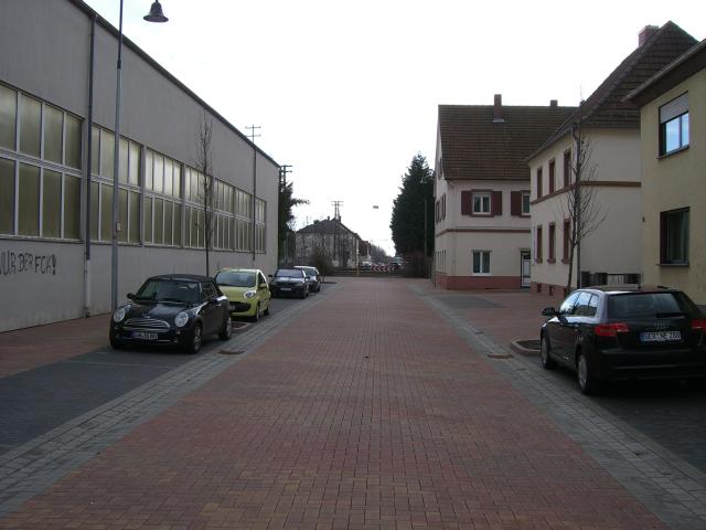 CIMG3000