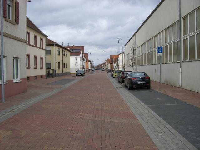 CIMG3006