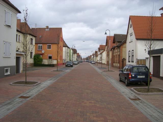 CIMG3008