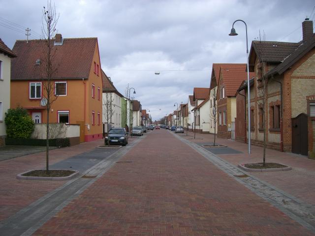 CIMG3009