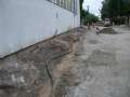 CIMG2445