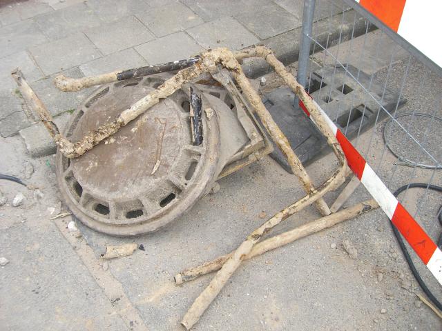 CIMG0919.JPG