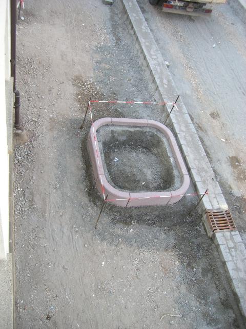 CIMG1268.JPG