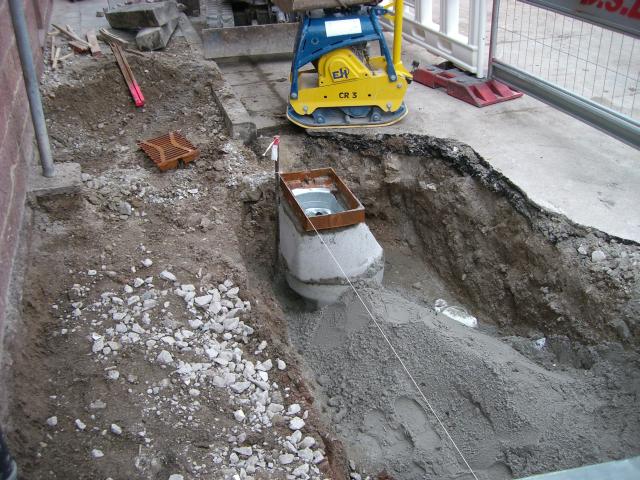 CIMG2003.JPG