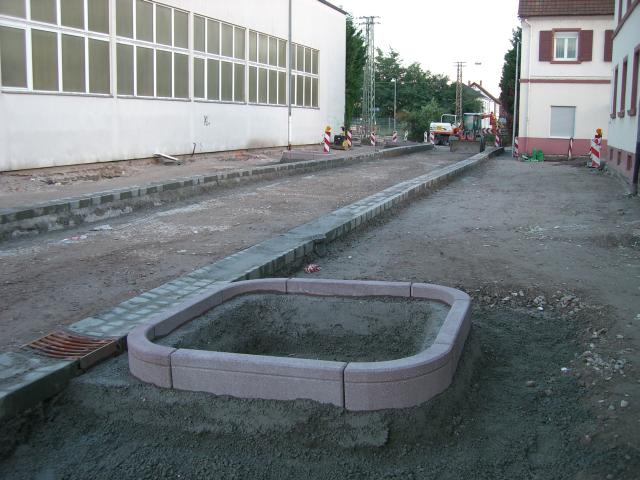 CIMG2551.JPG