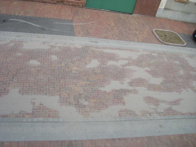 CIMG2563.JPG