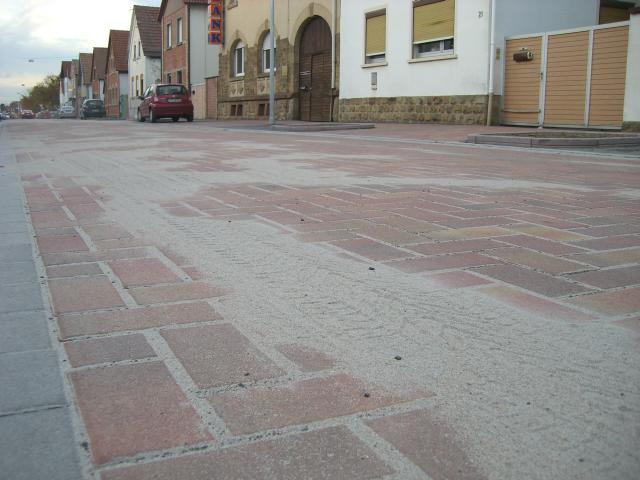 CIMG2572.JPG