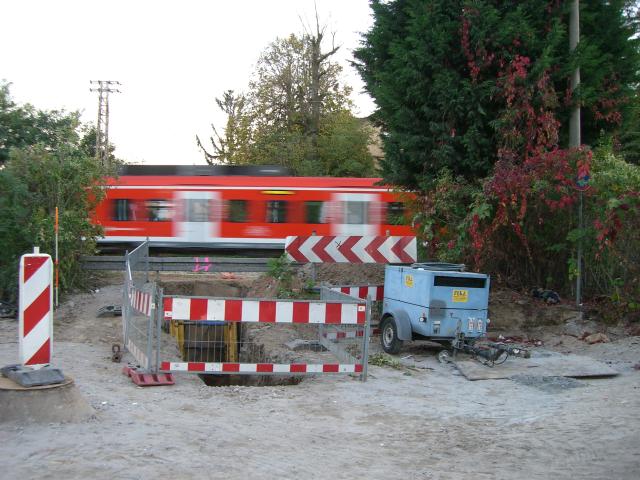 CIMG2602.JPG