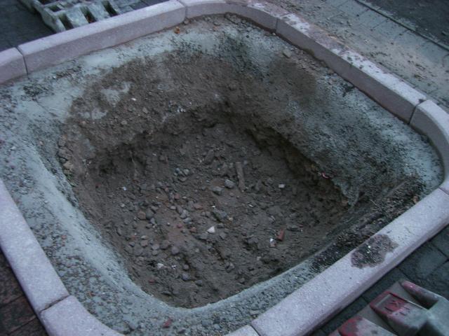 CIMG2693.JPG