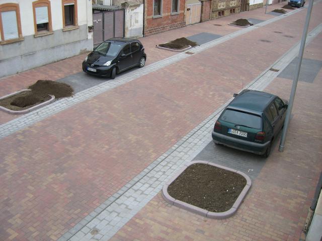 CIMG2775.JPG