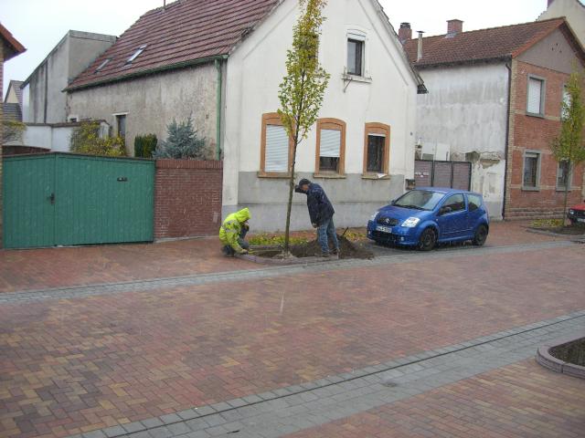 CIMG2781.JPG