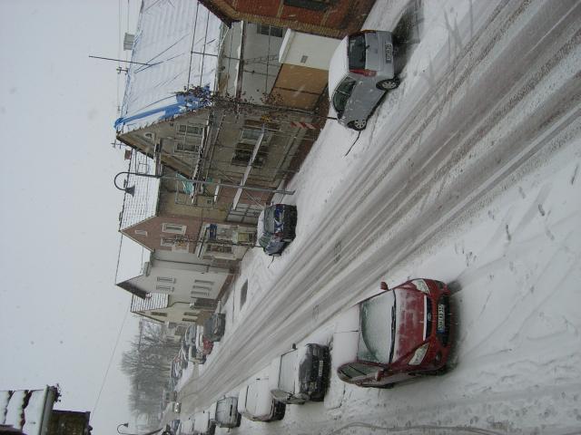 CIMG2875.JPG